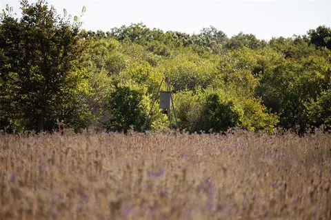 1700 Road Rd, Roff, OK 74865 photo 29