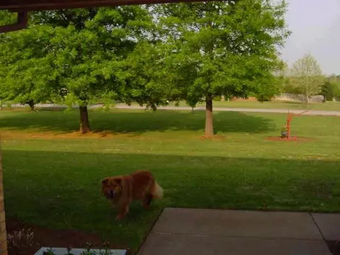 207 Cedar Springs Dr, Tuttle, OK 73089 photo 12