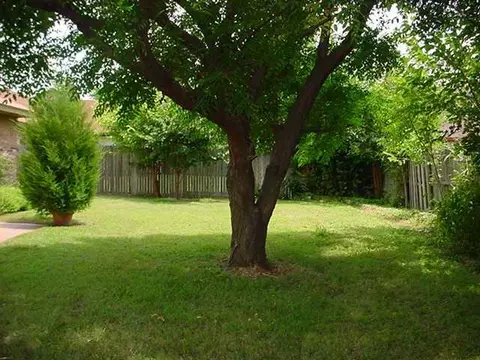 312 Clermont, Edmond, OK 73003 photo 6
