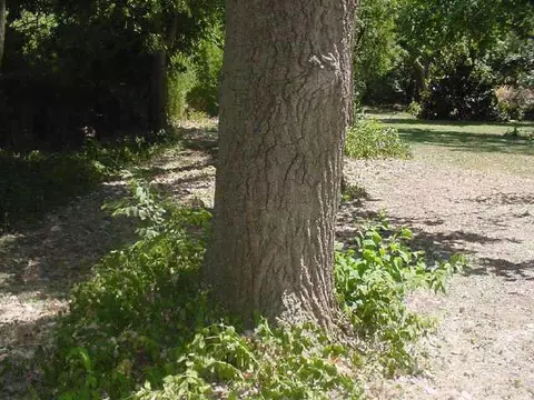 8100 NW 33rd St, Bethany, OK 73008 photo 6