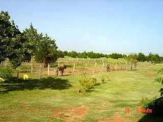 3871 Secrest, Guthrie, OK 73044 photo 7