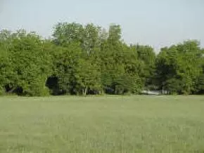 12868 Blanton Vw, Wayne, OK 73095 photo 3