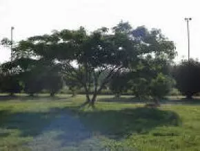 12868 Blanton Vw, Wayne, OK 73095 photo 9