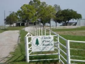 29499 160, Wayne, OK 73095 photo 9
