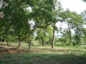 29499 160, Wayne, OK 73095 photo 7
