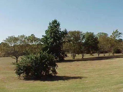 9610 Franklin Rd, Norman, OK 73026 photo 3