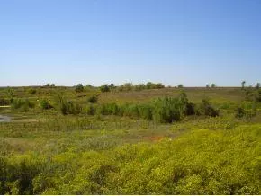 13283 Blanton Vw, Wayne, OK 73095 photo 10
