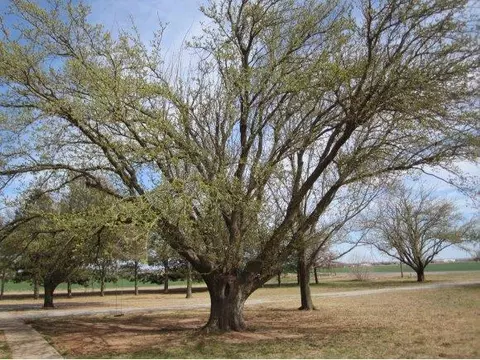 20553 E County Road 159, Altus, OK 73521 photo 23