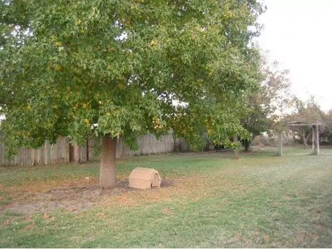 221 NW Boundry Rd, Erick, OK 73645 photo 15
