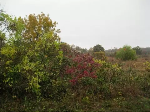16351 E Imhoff Rd, Norman, OK 73026 photo 1