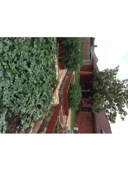 3600 Pilgrim Ln, Altus, OK 73521 photo 23