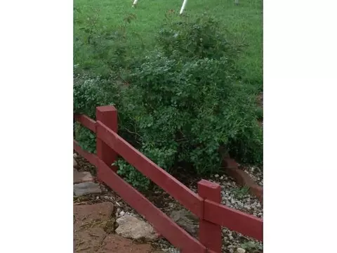 700 Windsor, Altus, OK 73521 photo 3