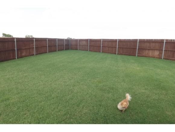1825 Foxtail Cir, Altus, OK 73521 photo 24