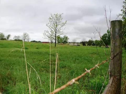 4141 Browne, Guthrie, OK 73044 photo 11