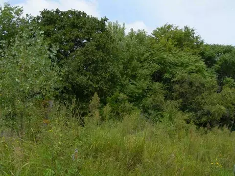 817 N Morgan, Tuttle, OK 73089 photo 2