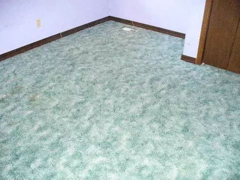 1801 E Springer Ave, Guthrie, OK 73044 photo 5