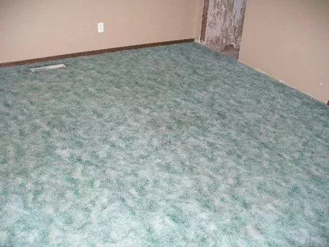 1801 E Springer Ave, Guthrie, OK 73044 photo 4