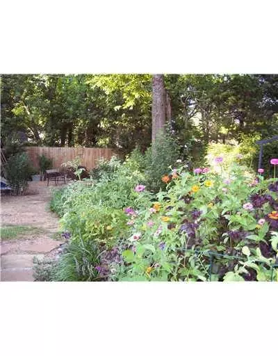 1123 W Apache St, Norman, OK 73069 photo 8