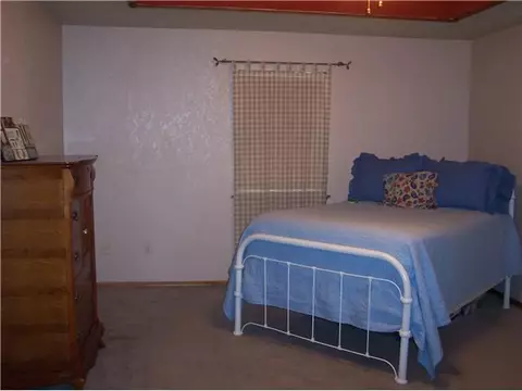 106901 S Paula Jean Dr, Mcloud, OK 74851 photo 11