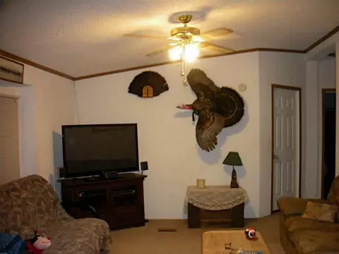 111 E First, Castle, OK 74833 photo 5