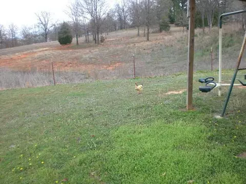 30381 Dutton Rd, Macomb, OK 74852 photo 6