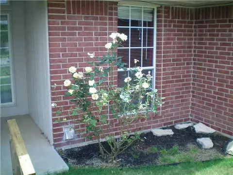 3717 Harmony Dr, Moore, OK 73160 photo 3