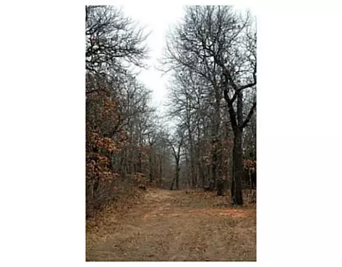 21325 Montgomery Dr, Mcloud, OK 74851 photo 4