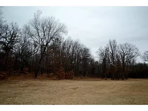 21325 Montgomery Dr, Mcloud, OK 74851 photo 5