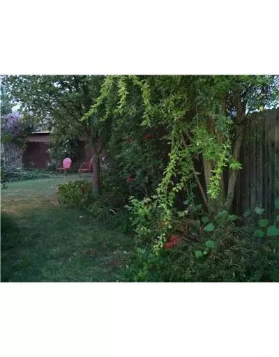 4036 Bald Eagle Dr, Norman, OK 73072 photo 7