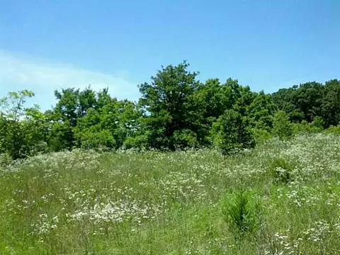 2121 N Post Rd, Arcadia, OK 73007 photo 4
