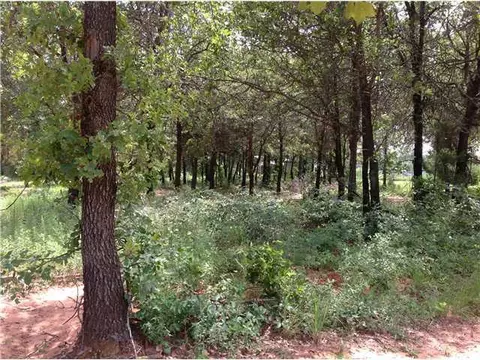 20800 SE 119, Mcloud, OK photo 2