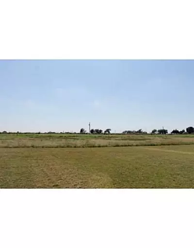 2017 Meadows, Tuttle, OK 73089 photo 12