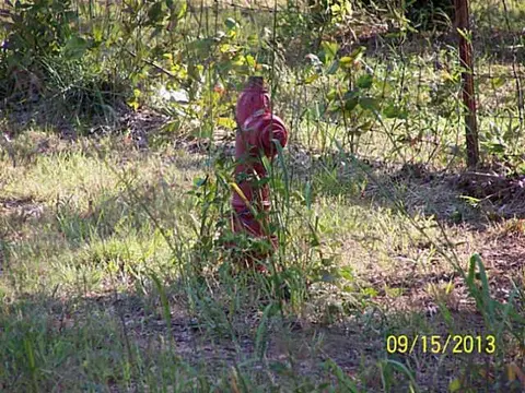 Undisclosed, Tecumseh, OK 74873 photo 4