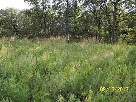 Undisclosed, Tecumseh, OK 74873 photo 10