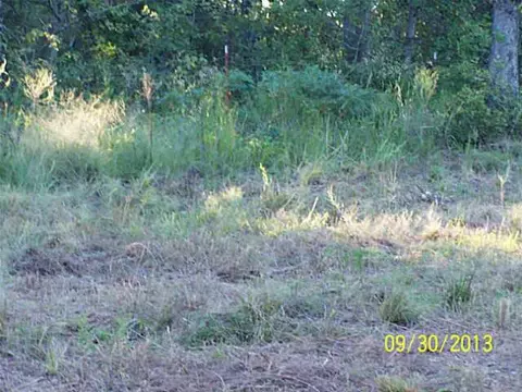 Undisclosed, Tecumseh, OK 74873 photo 17