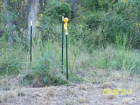 Undisclosed, Tecumseh, OK 74873 photo 5