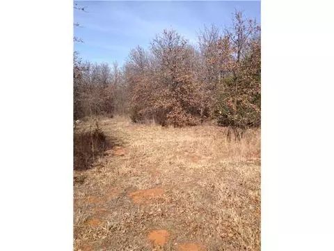 21137 SE 134th St, Mcloud, OK 74851 photo 17