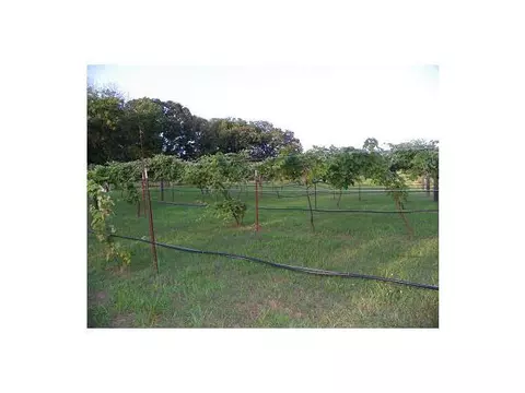 361154 E 960 Rd, Paden, OK 74860 photo 16