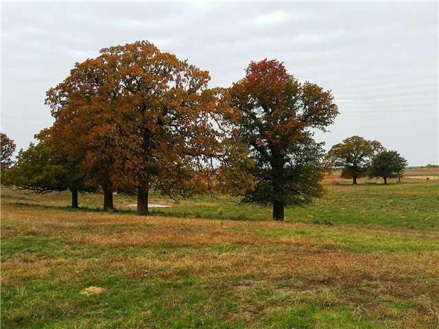 29408 E 730 Rd, Crescent, OK 73028 photo 1