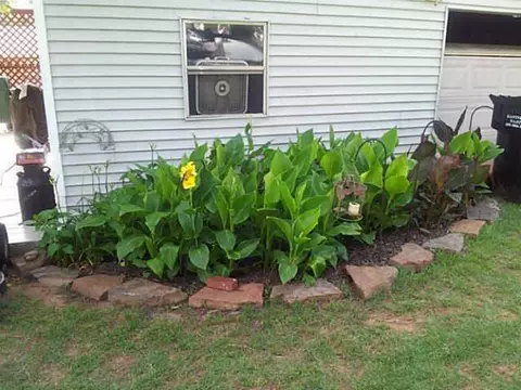 606 E 6th St, Wellston, OK 74881 photo 3
