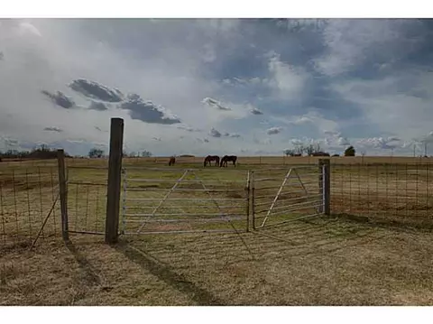 31648 State Highway 59, Wayne, OK 73095 photo 18
