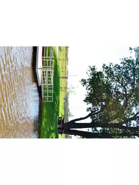 3520 Mount Mitchell Ln, Norman, OK 73069 photo 15