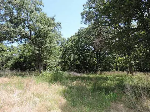 21209 Judy Cir, Mcloud, OK 74851 photo 9