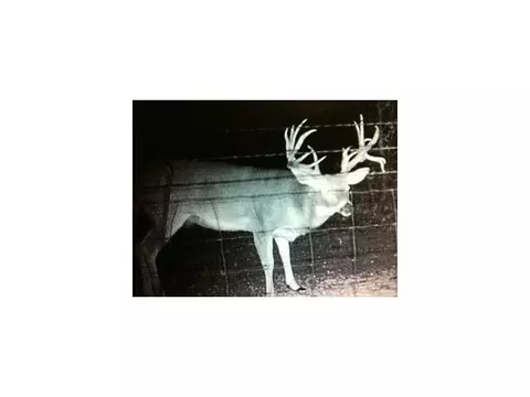 1663 S Fishmarket Rd, Mcloud, OK 74851 photo 19