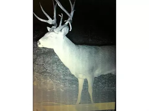 1663 S Fishmarket Rd, Mcloud, OK 74851 photo 20