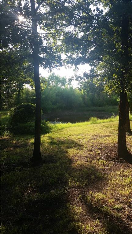 Undisclosed, Tecumseh, OK 74873 photo 11