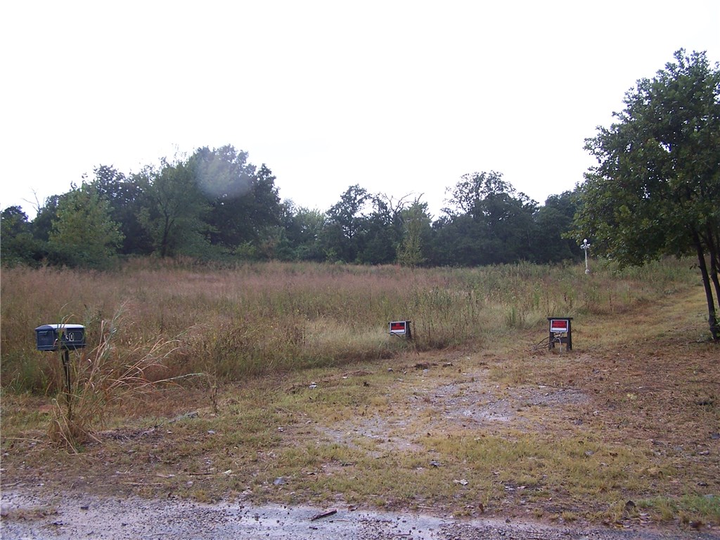 30 Shady Grv, Mcloud, OK 74851 photo 5