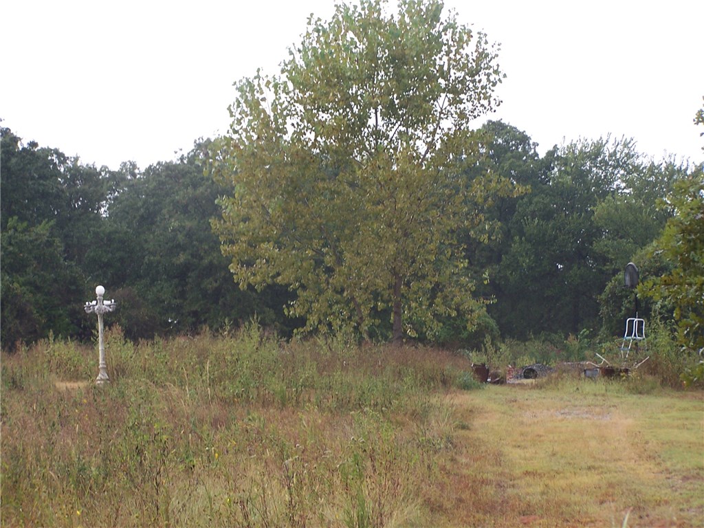 30 Shady Grv, Mcloud, OK 74851 photo 3