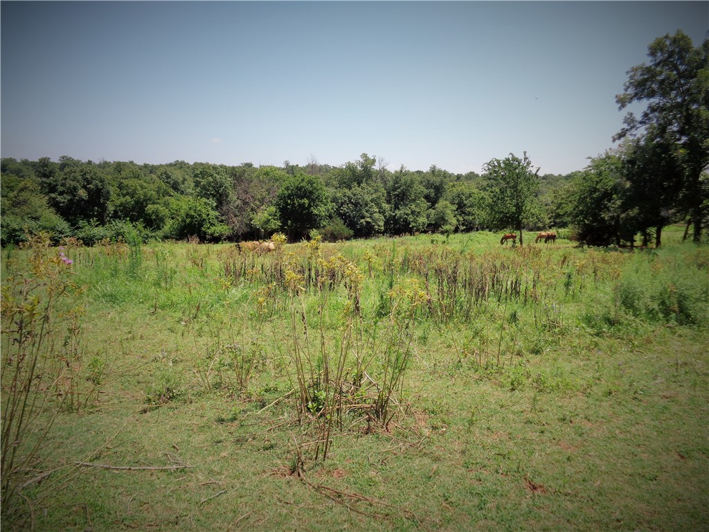 16305 E Hefner Rd, Jones, OK 73049 photo 15