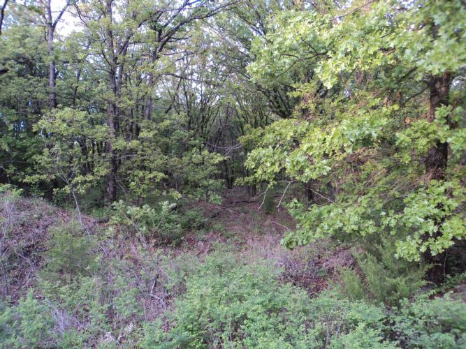 31015 Memorial Rd, Mcloud, OK 74851 photo 11